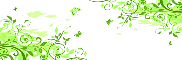 Orn 82